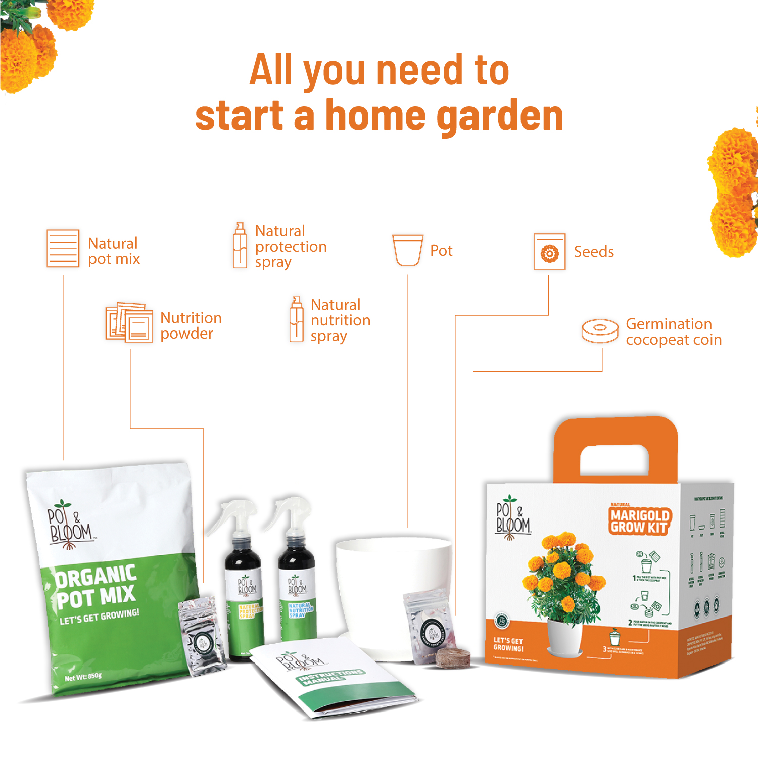 Marigold Kit