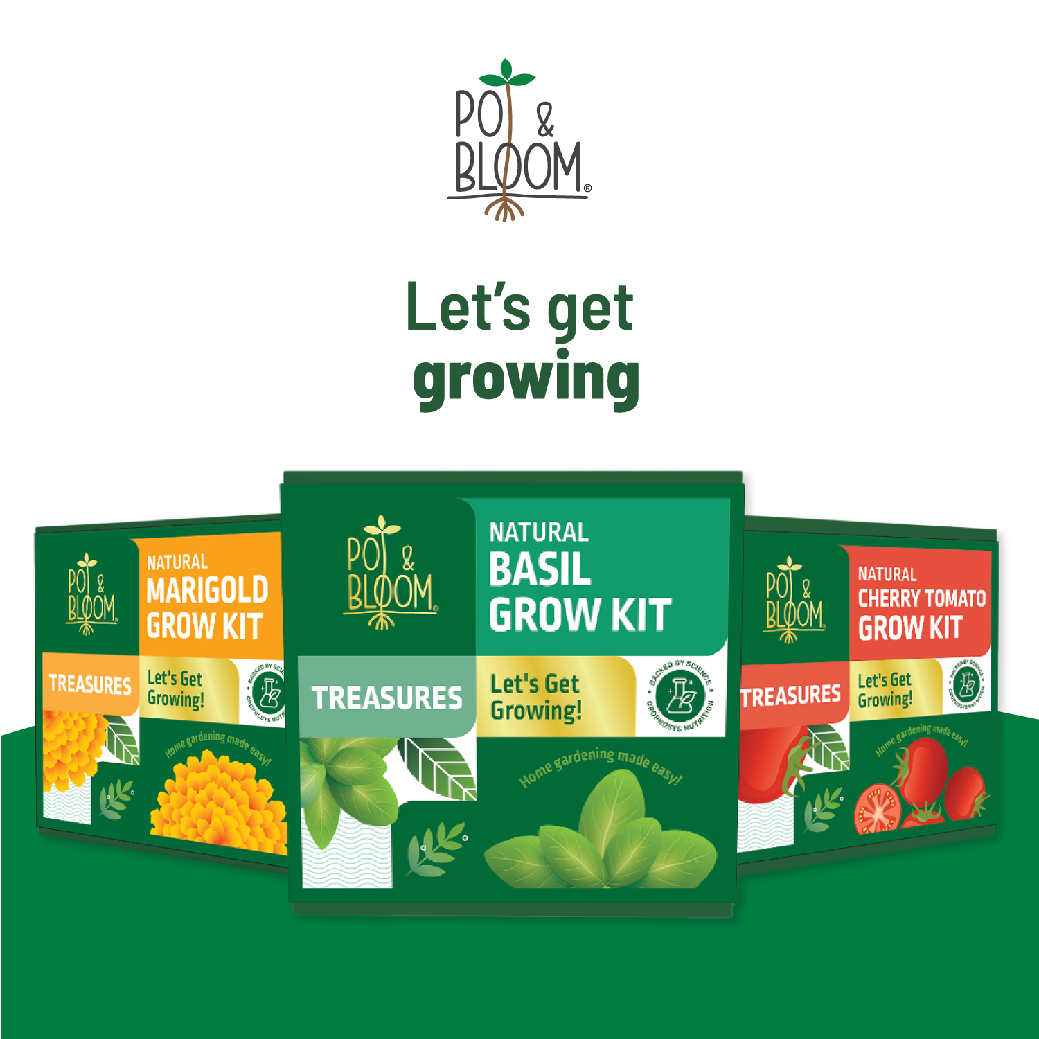 Treasures Italian Basil Kit