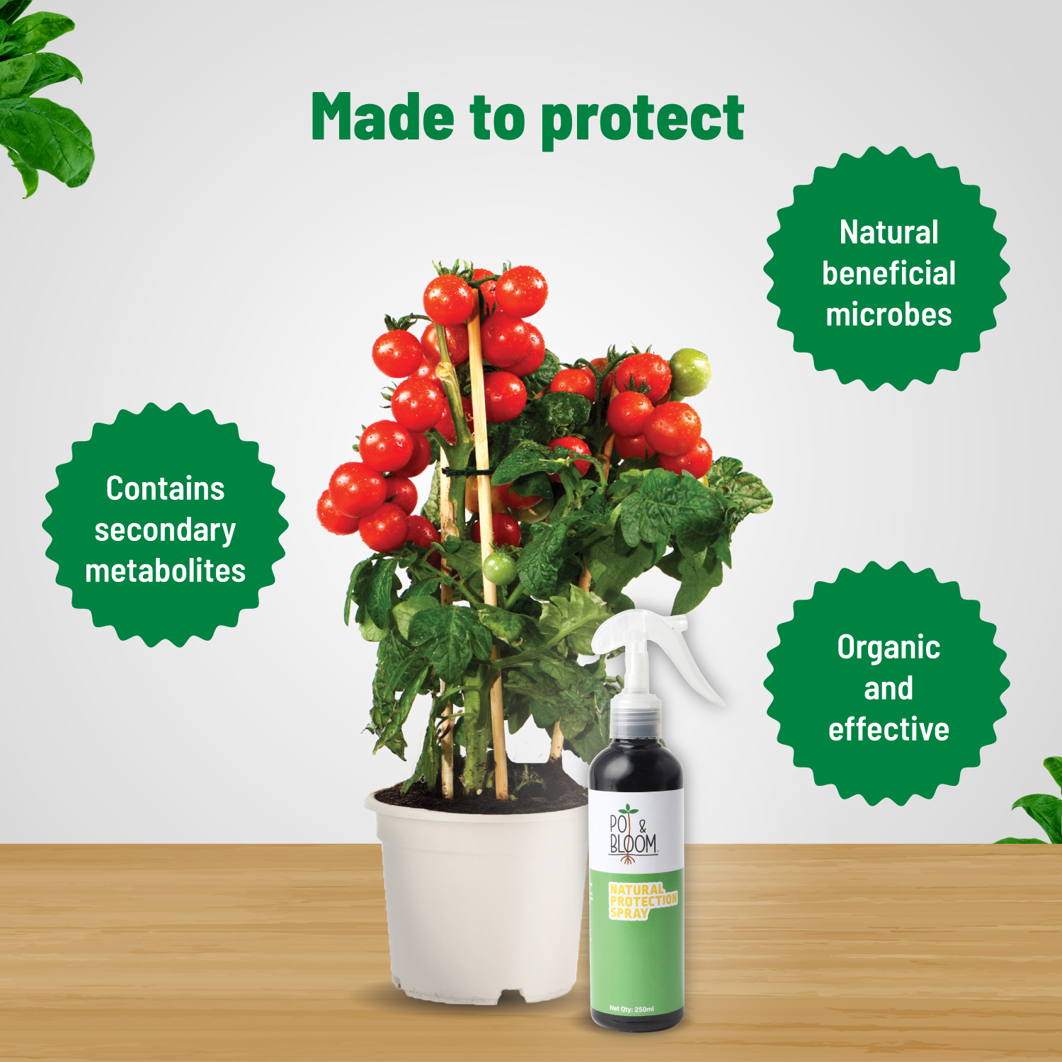 Protection Spray 250 ml