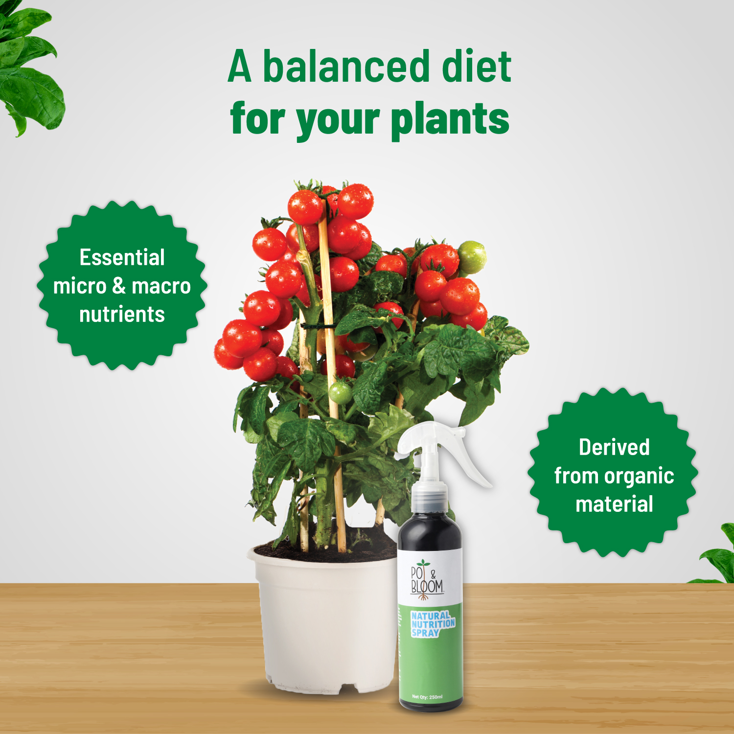 Nutrition Spray 500 ml