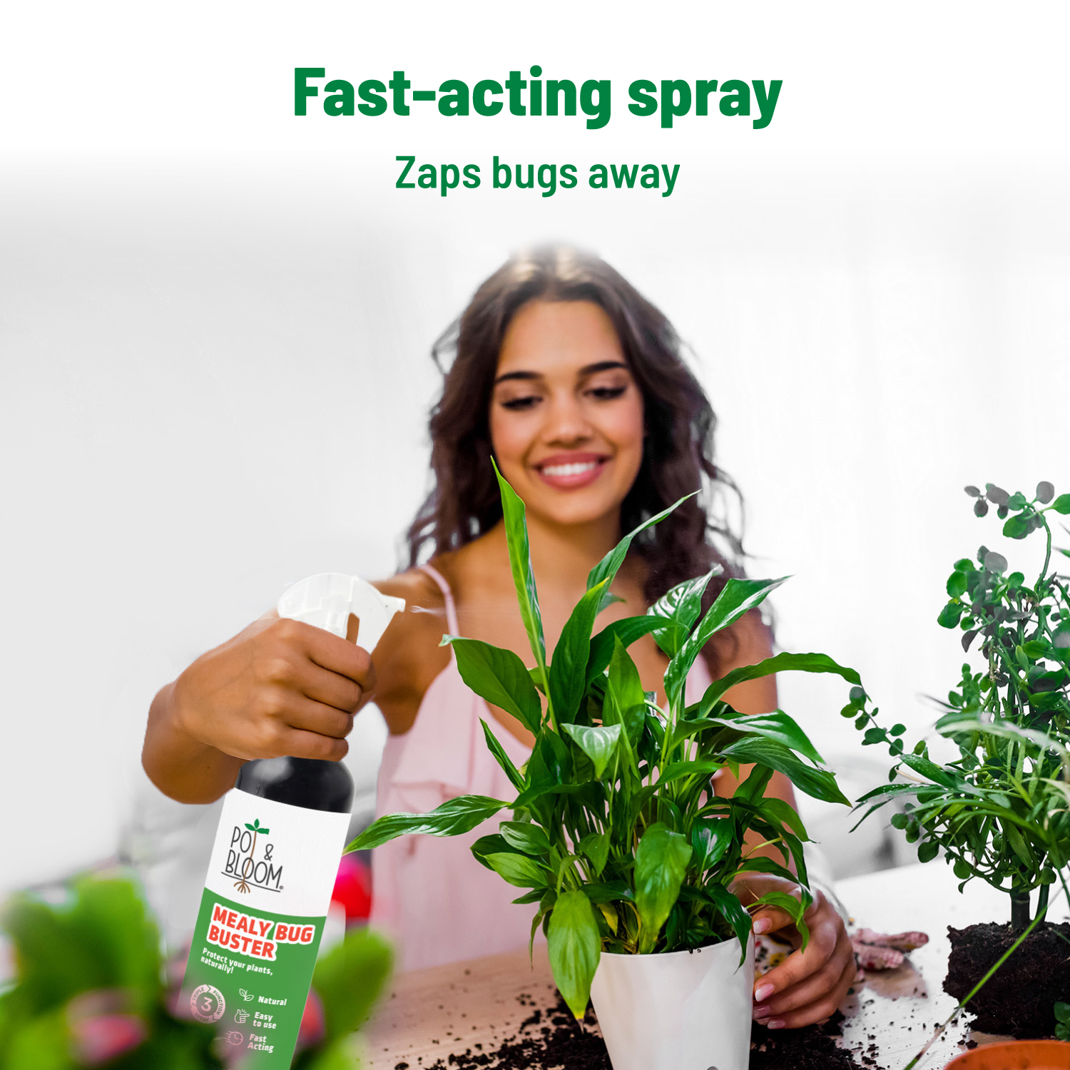 Mealy Bug 500 ml