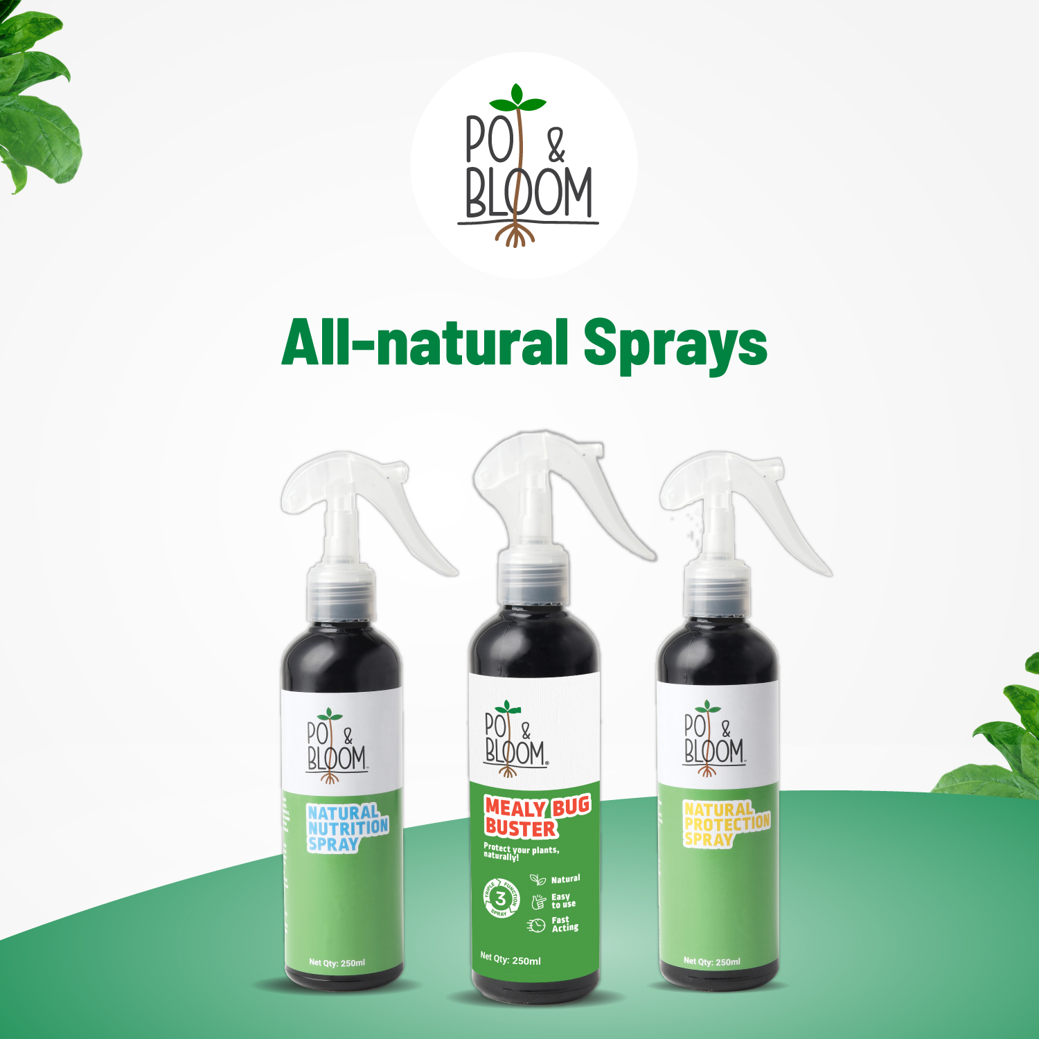 Mealy Bug 500 ml