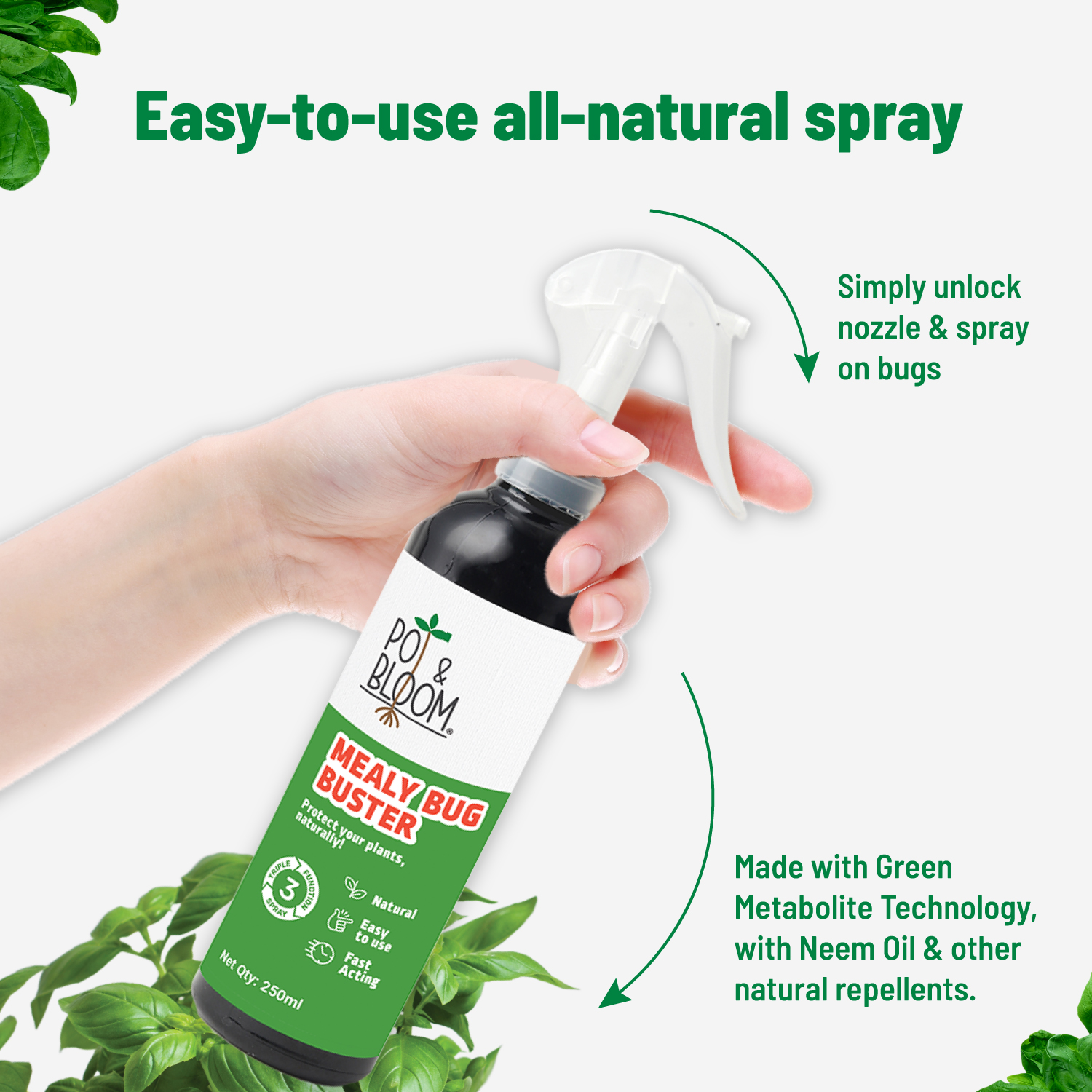 Mealy Bug 250 ml
