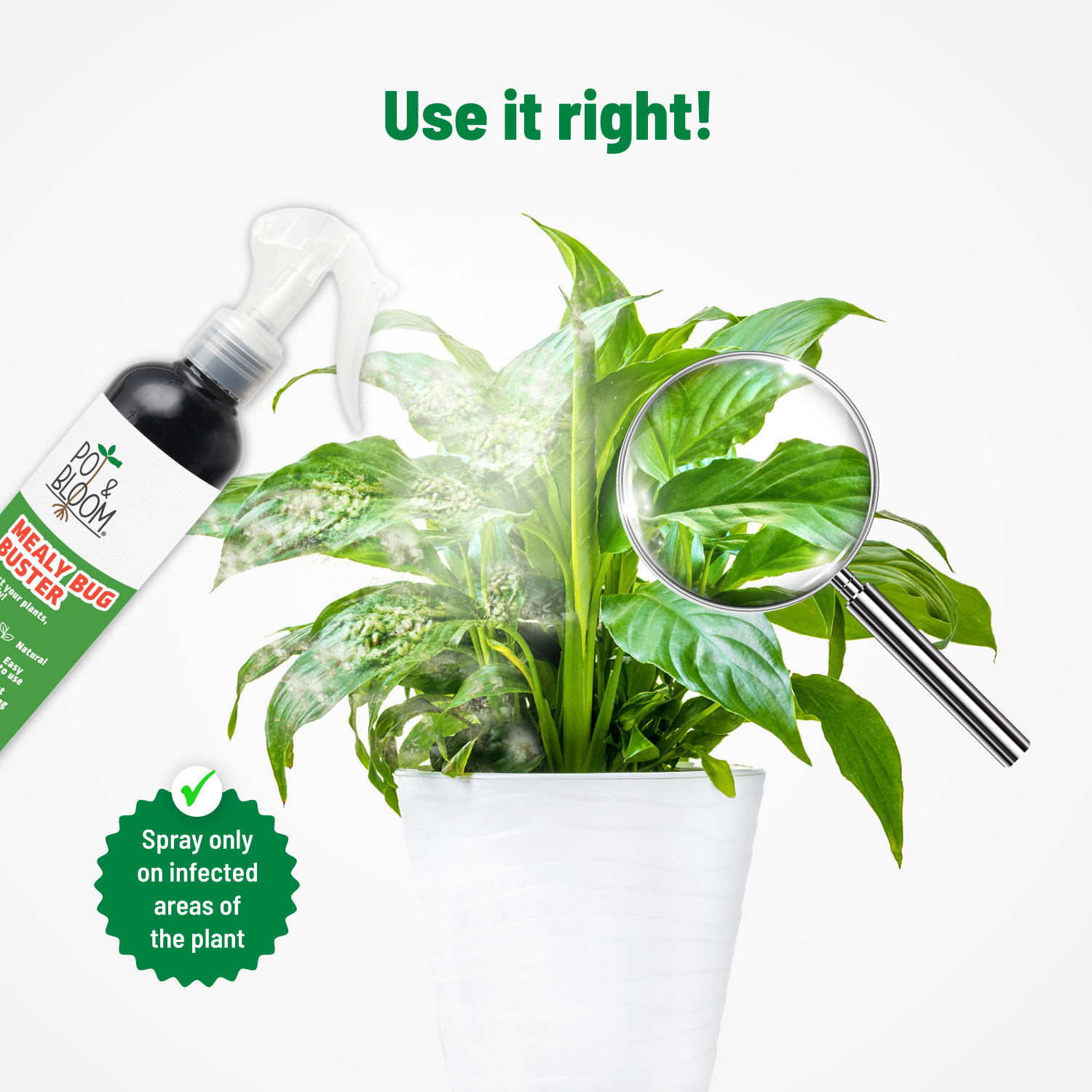 Mealy Bug 250 ml
