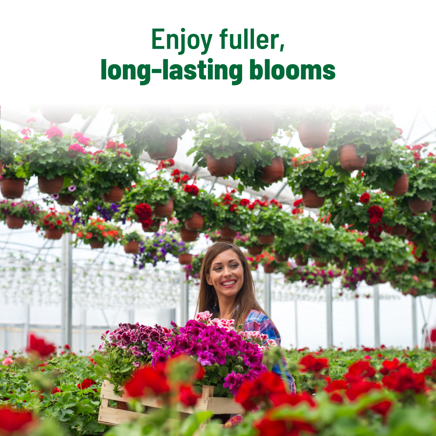 Flower Boost 500 ml