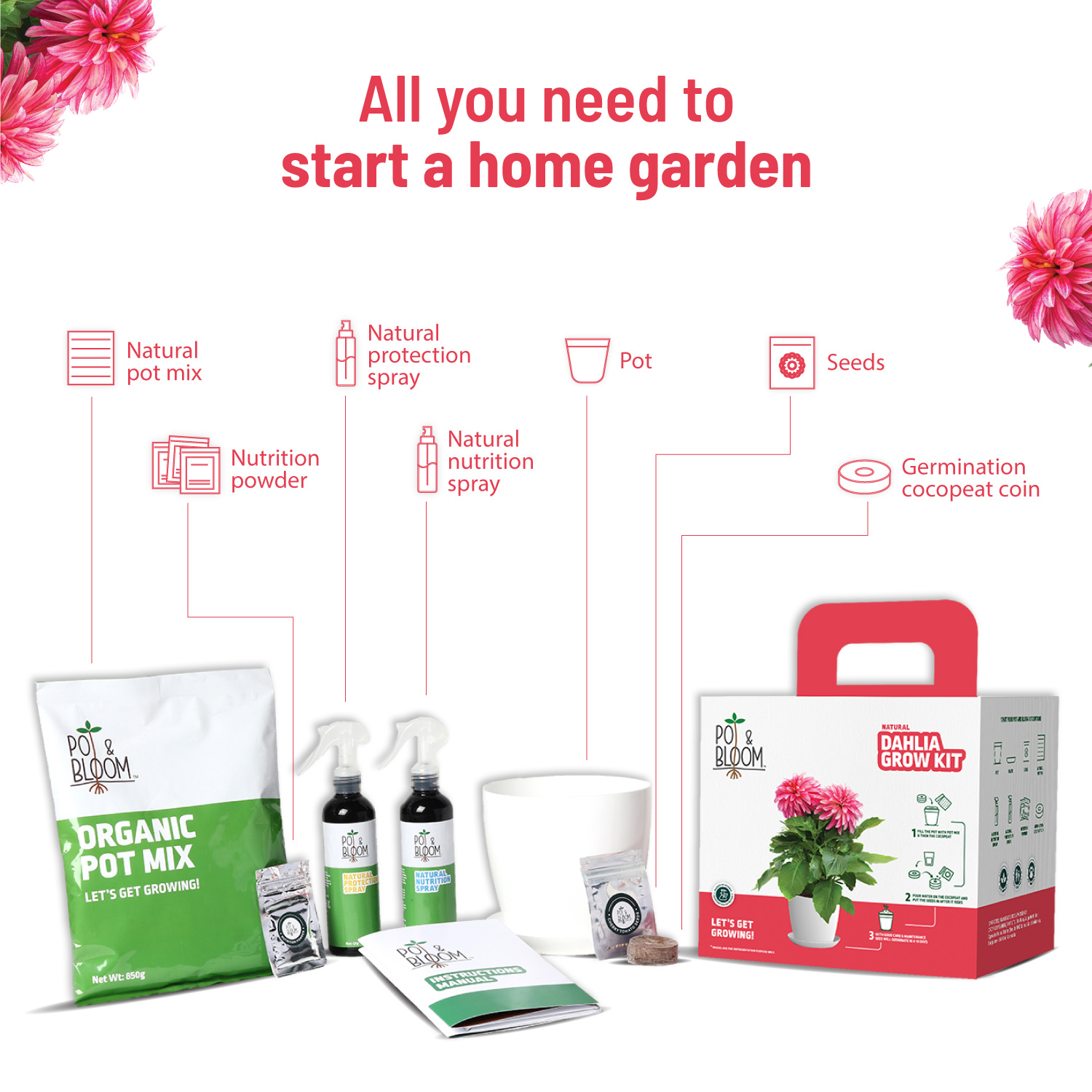 Dahlia Kit
