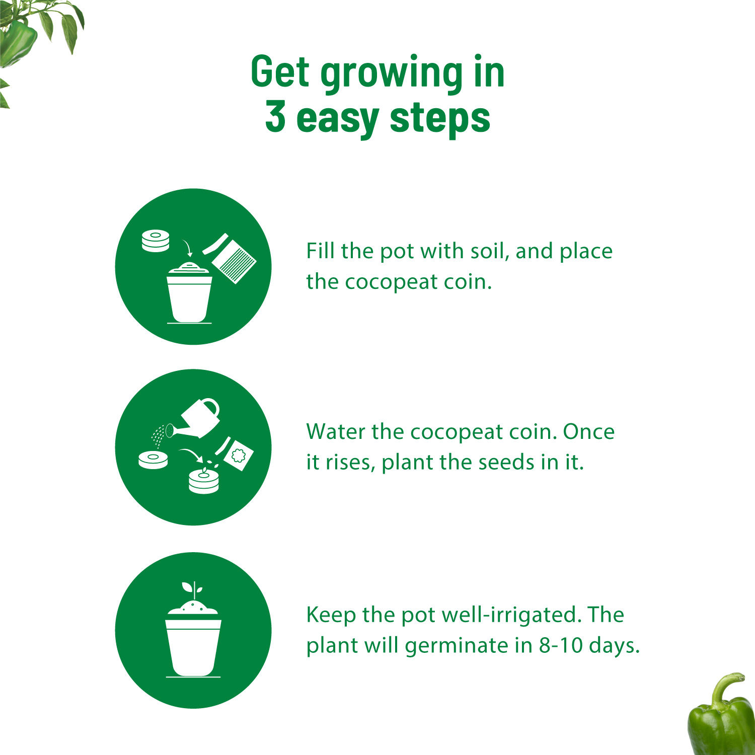 Capsicum Kit