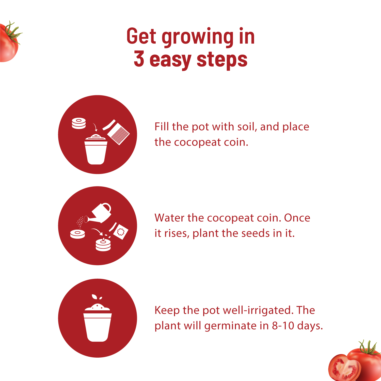 Cherry Tomato Kit