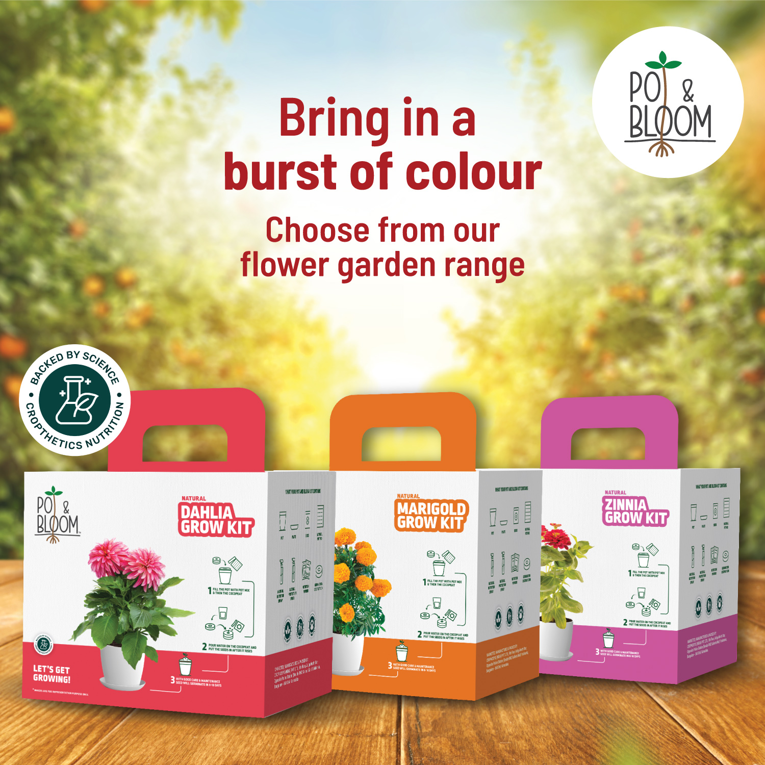 Cherry Tomato Kit
