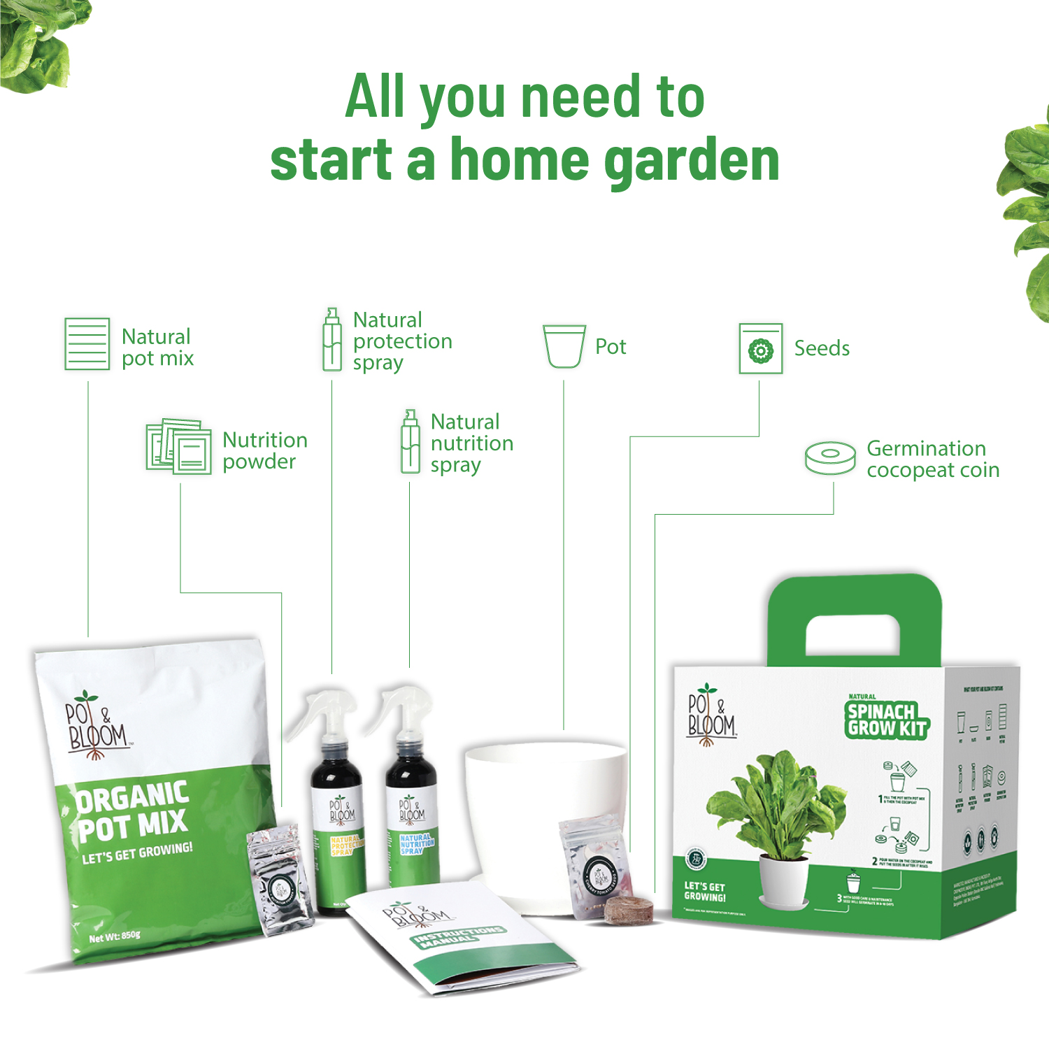 Spinach Kit