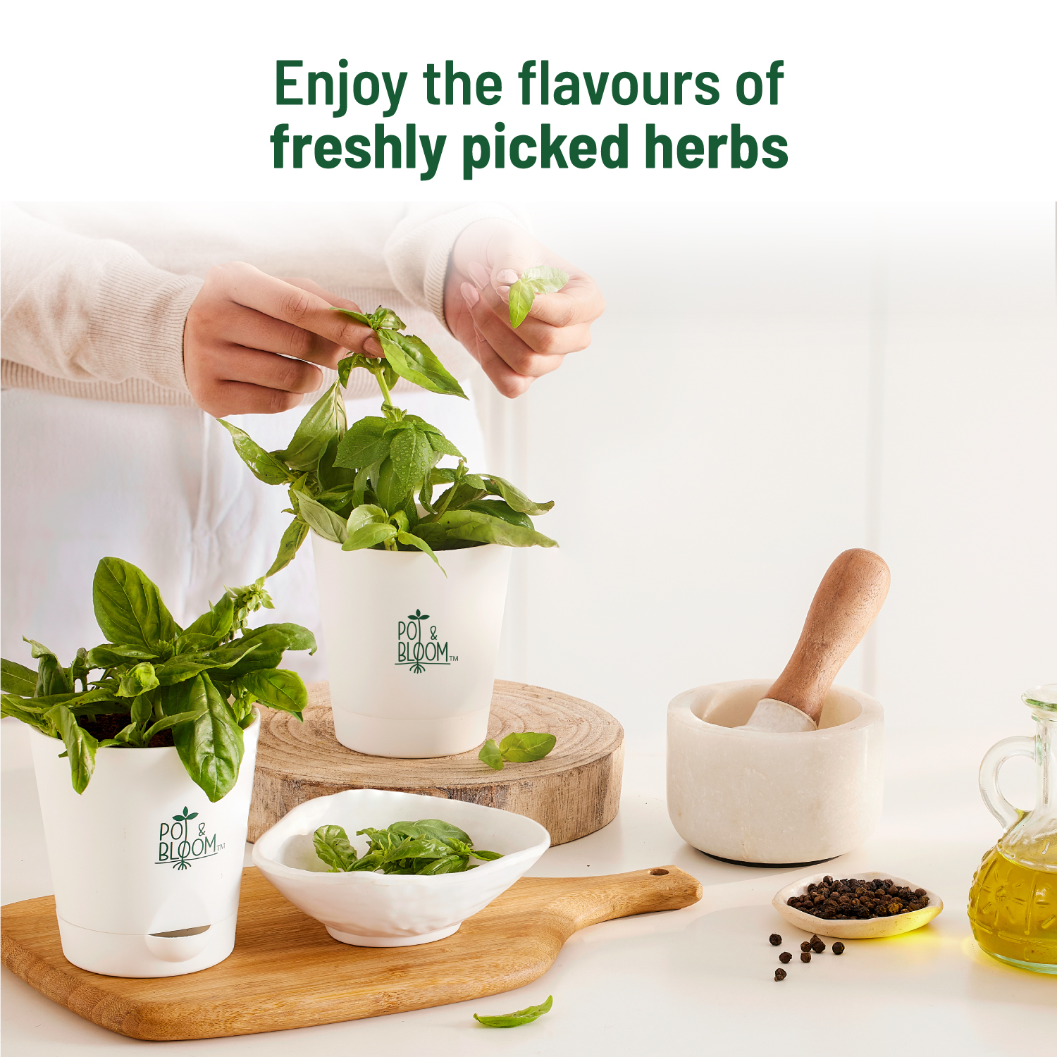 Italian Basil Kit
