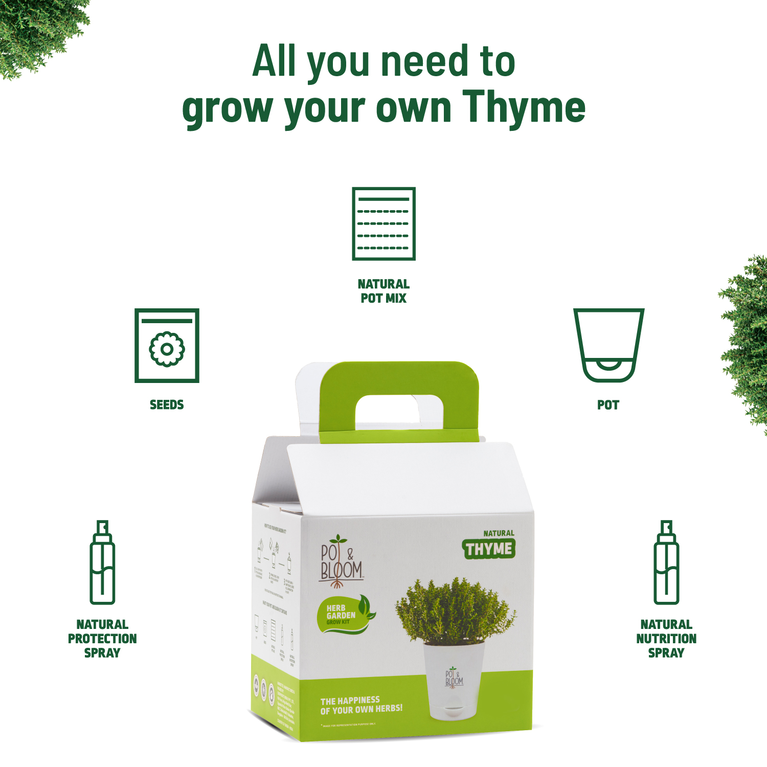 Thyme Kit