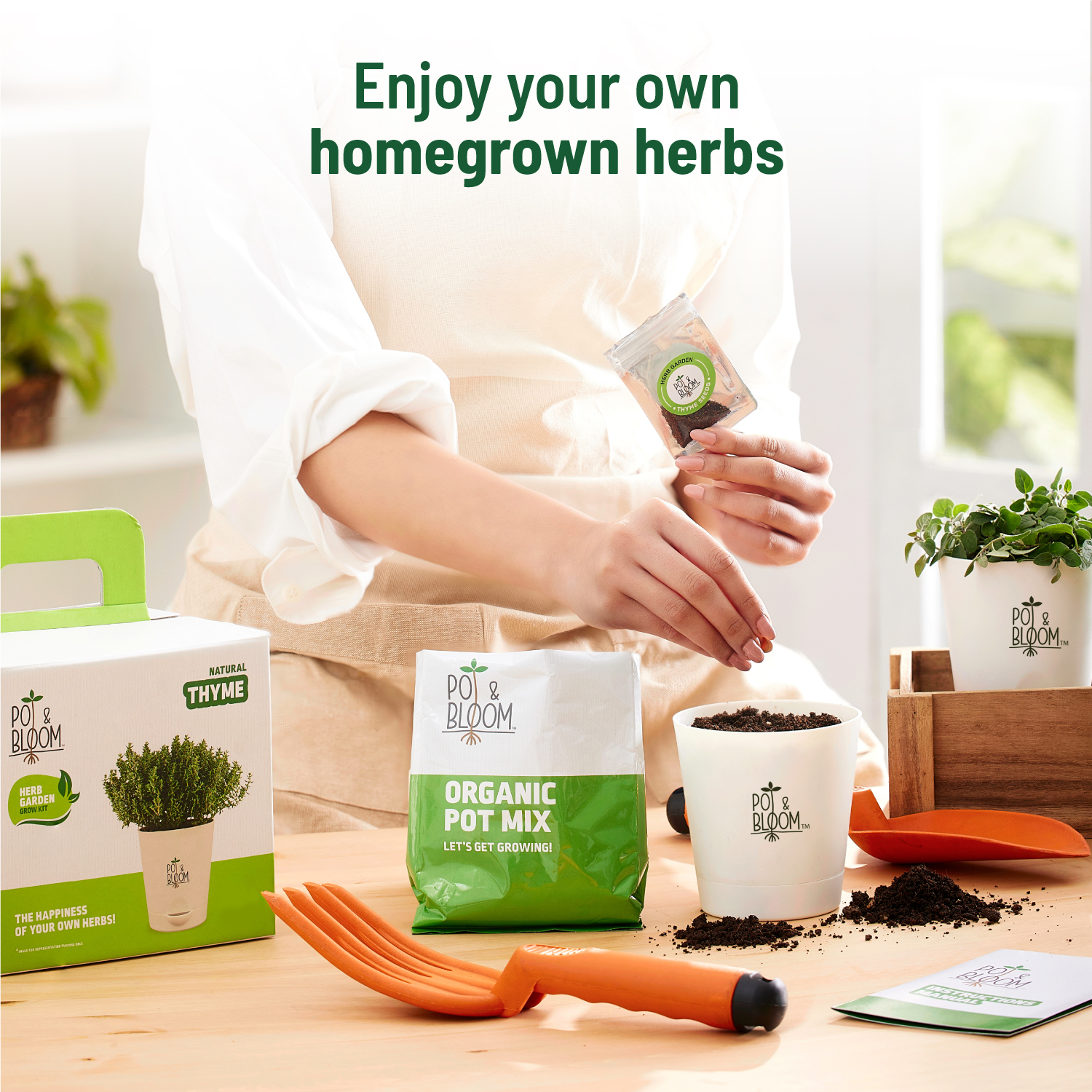 Thyme Kit