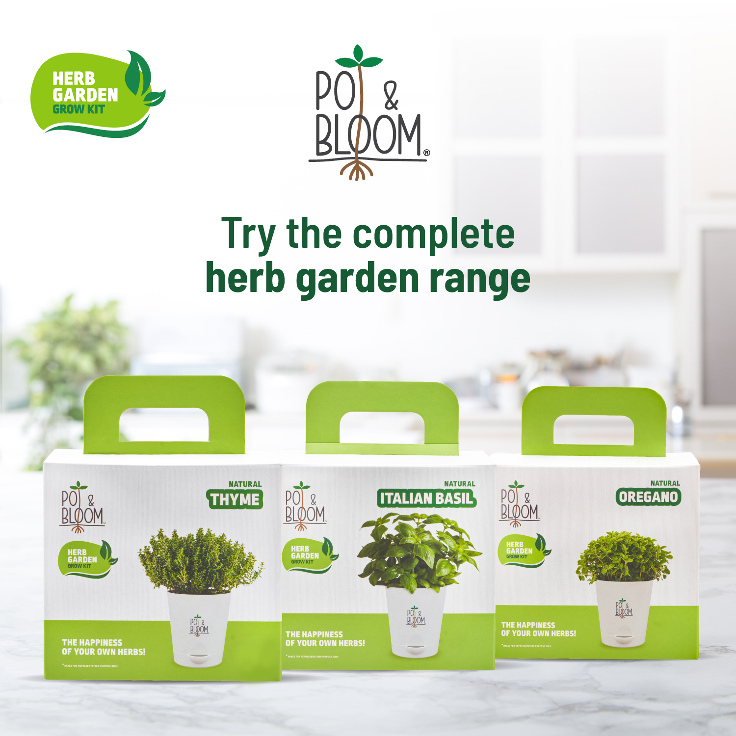 Thyme Kit