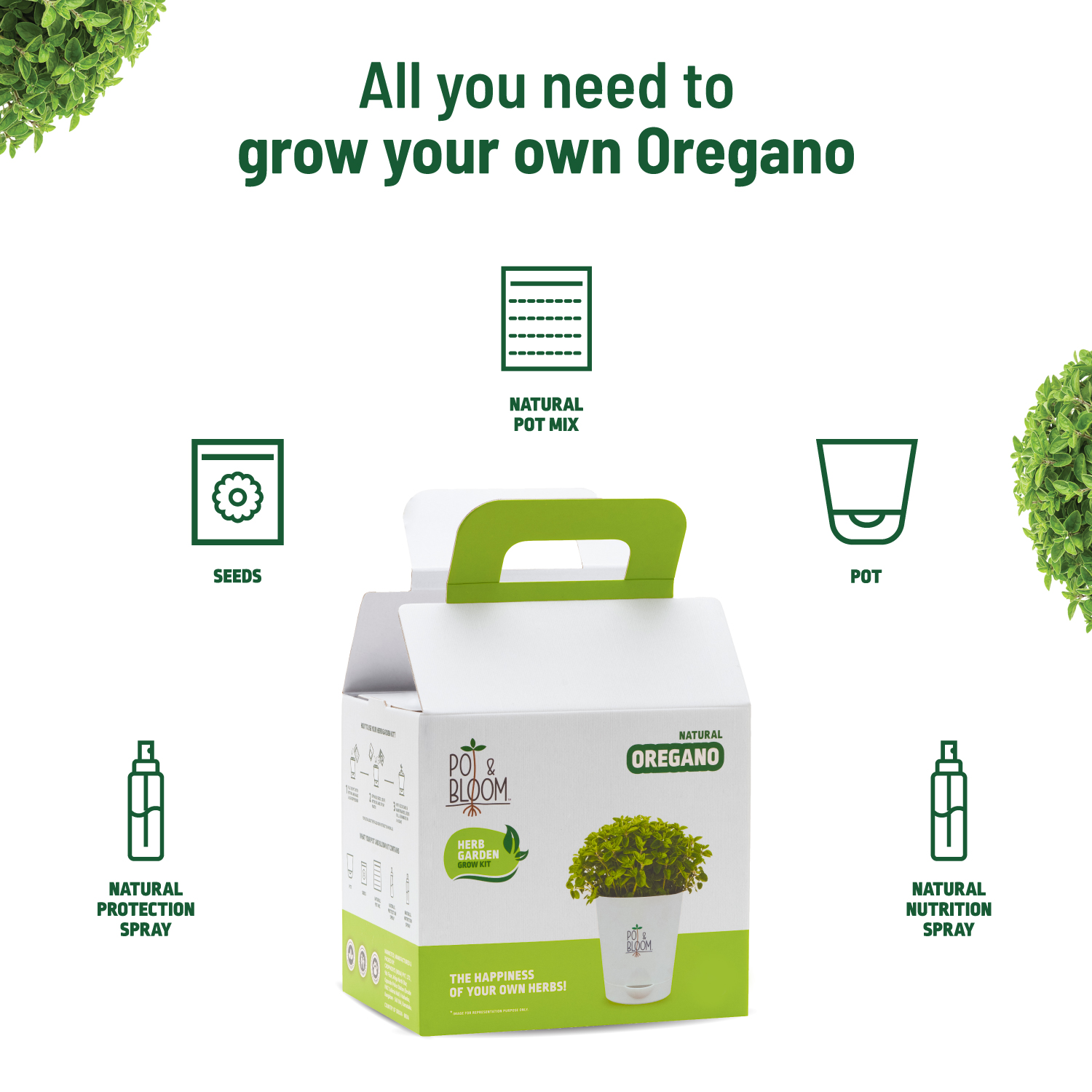 Oregano Kit