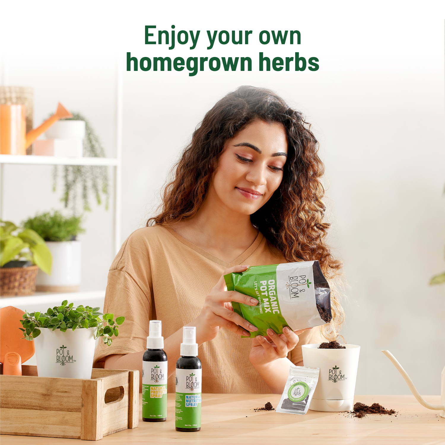 Oregano Kit