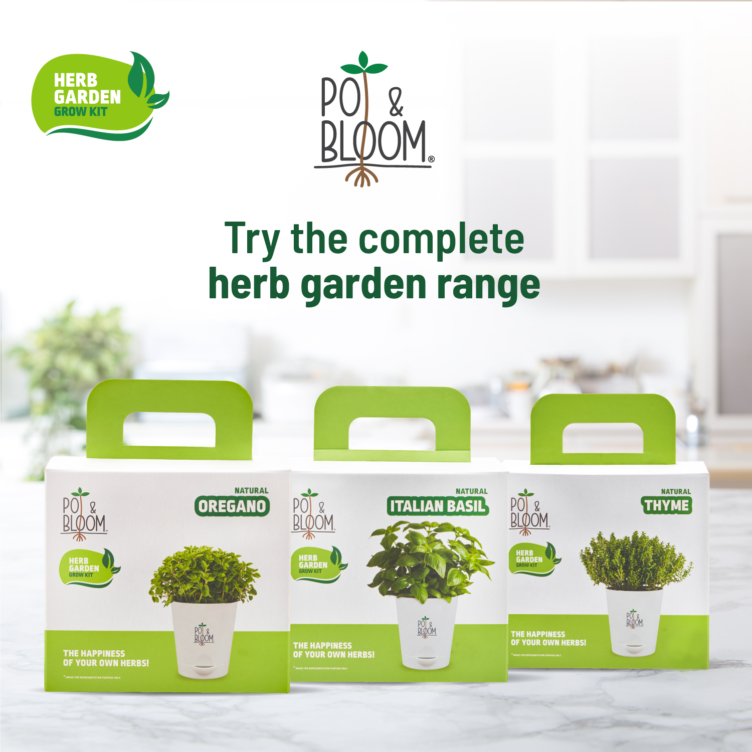 Oregano Kit