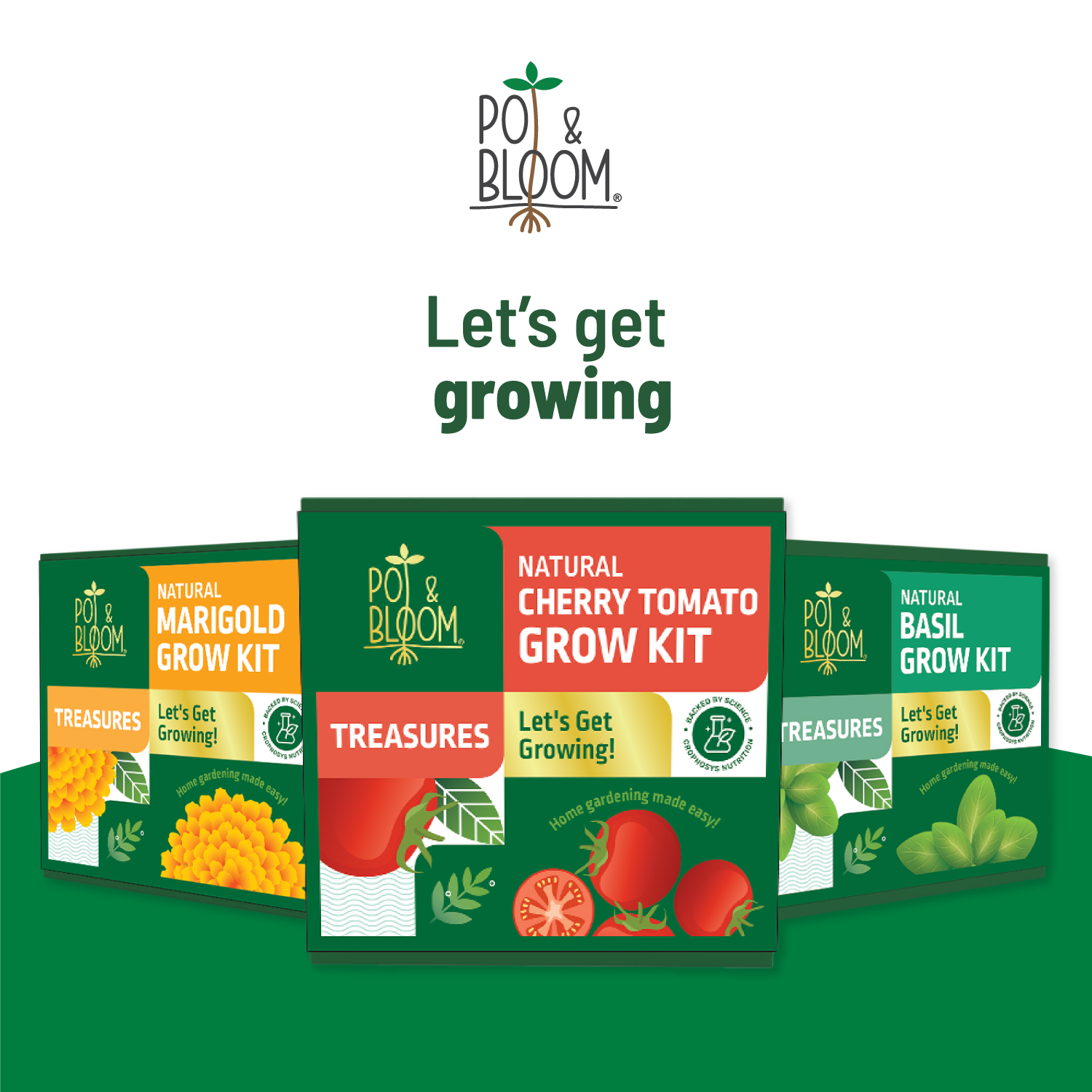 Treasures Cherry Tomato Kit