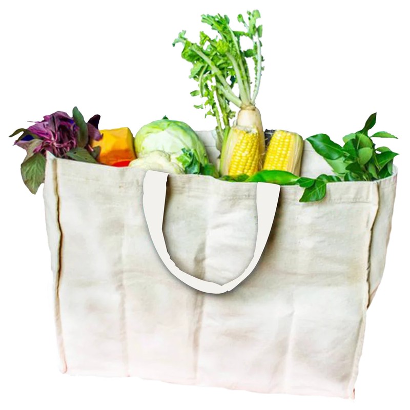 Astara Cotton Grocery Bag